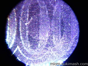 P00553_R